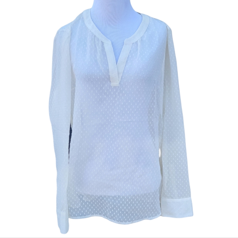 Express Sheer Polka Dot Long Sleeve Blouse M